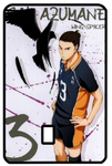 Haikyu!! "Ace Player Card" Card Skin