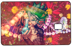 Dr. Stone "Chemical Formula" Card Skin