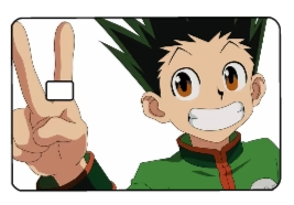 HunterXHunter "Gon" Card Skin