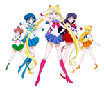 Sailor Moon "Group Scouts" Wall Decal