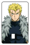 Fairy Tail "Laxus" Card Skin