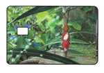 Studio Ghibli "Morning Walk" Card Skin