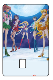 Sailor Moon "Sailor Scouts" Card Skin